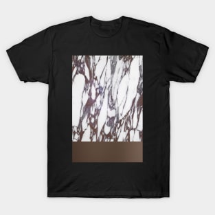 Brown stone T-Shirt